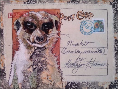 Postcards: Protea, Barn Owl, Meerkat and Secretary Bird Detail
