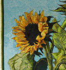 Skyscraper Sunflowers Detail