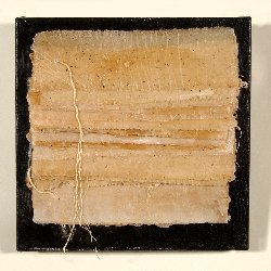 Manuscript II