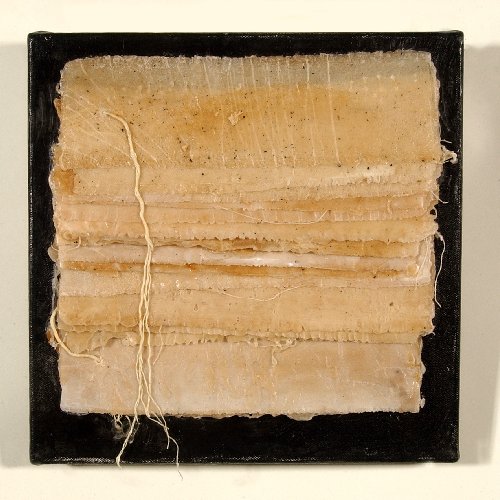 Manuscript II