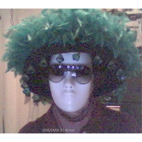 Feathered Hat