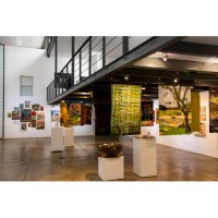 Works by Jenny Hearne and Jeanette Gilks