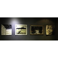 Works by Sarojani Naidoo, Hermine Coleman and Dana Biddle