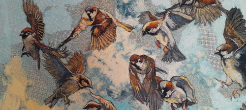 A Flurry of Flight Detail