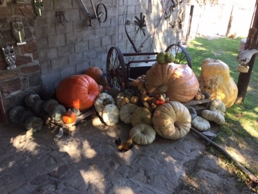 Pumpkins