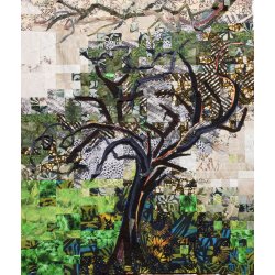 Tree: Koffiebaai